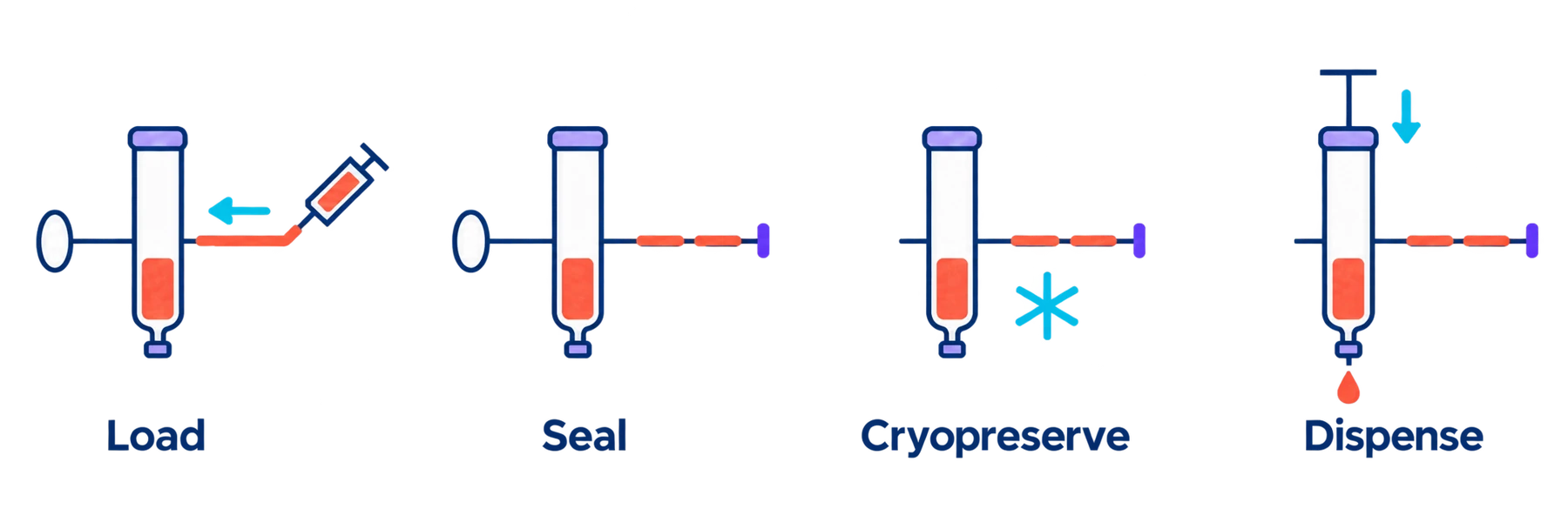 Illustrated workflow: Load, Seal, Cryopreserve, Dispense